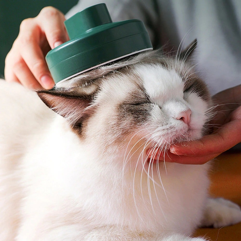 Wood's Lamp Pet Brush