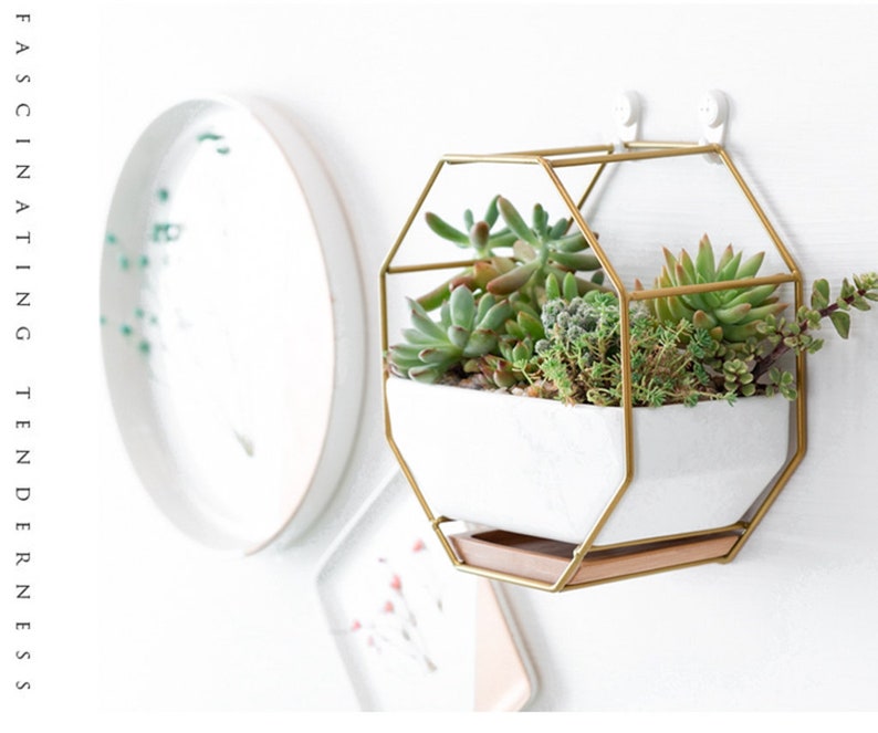 Iron Rack Planter,Hanging Plant Holder, Succulent Planter, Succulent Pot, Container,Octagonal Rack,Home Decor,Cactus Planter,Outdoor Decor