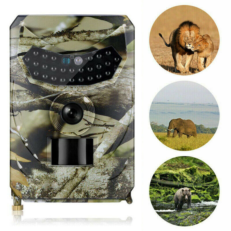 Wildlife Trail Camera - HD Hunting Camera